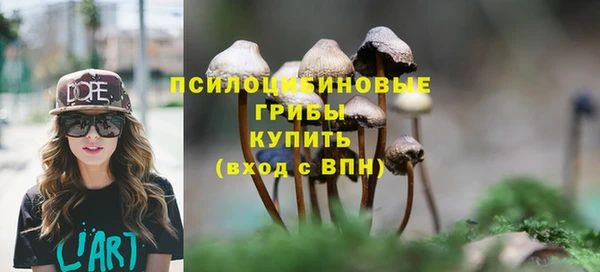 амф Абаза