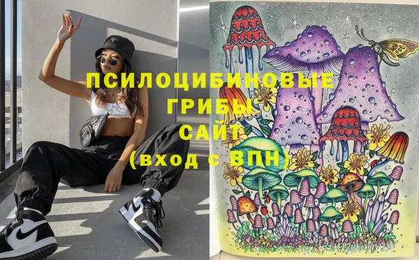 амф Абаза